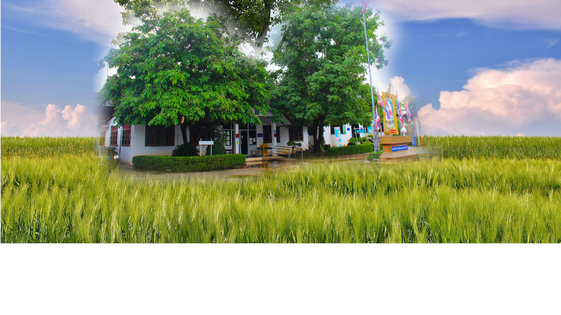 พื้นหลัง